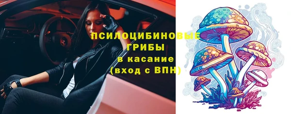 молекула духа Алзамай
