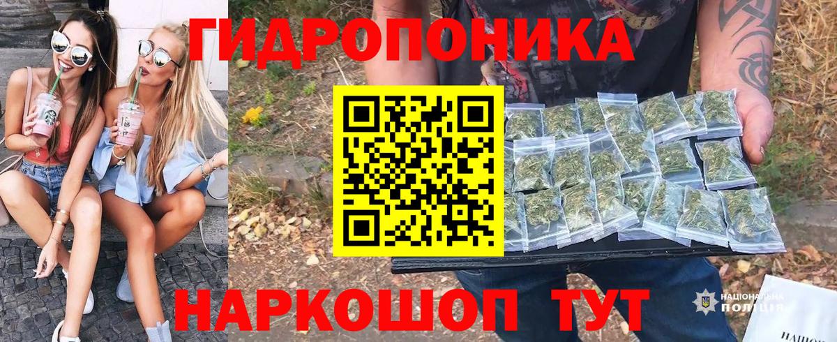 Краснокамск  Каннабис индика  Вход с VPN  Шишки марихуана сатива  Бошки марихуана тримм 
